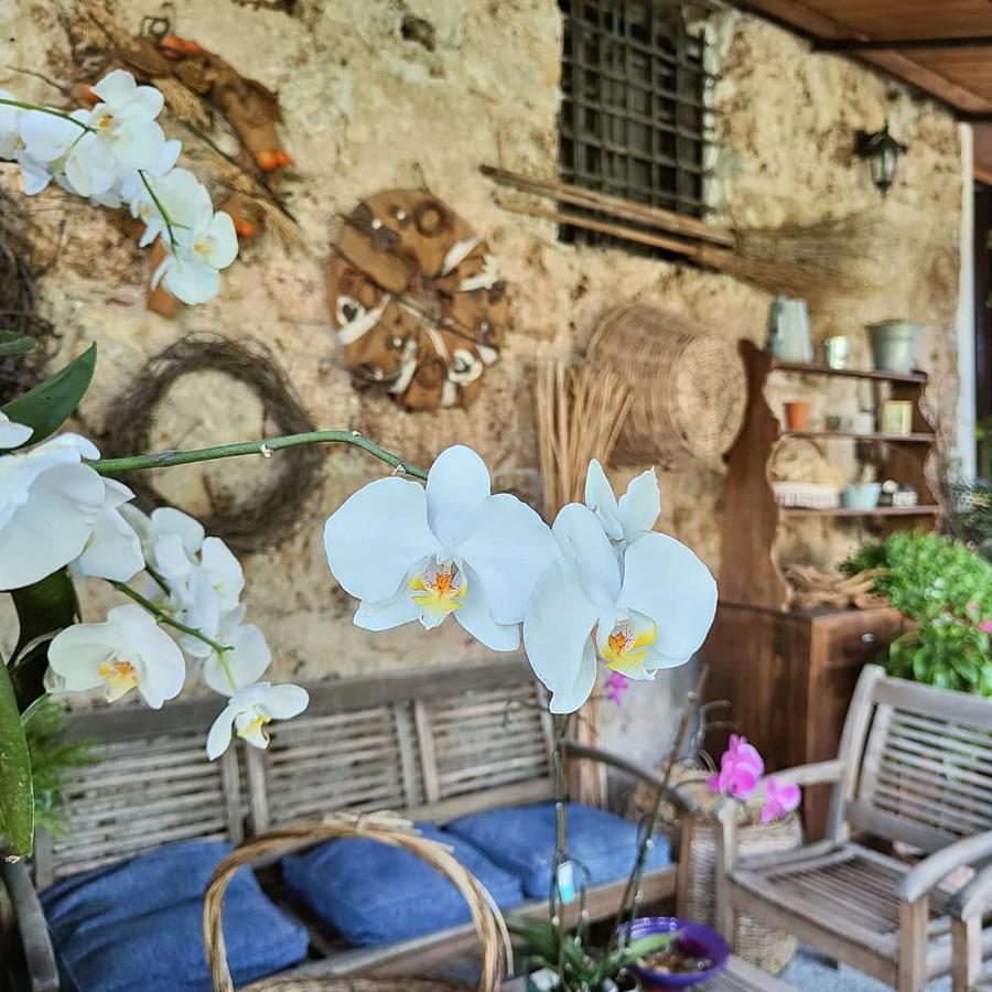 I Leoni Di Sicilia Palermo Vila Exterior foto